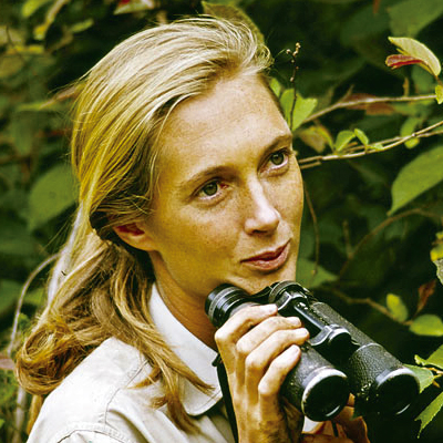 Foto Jane Goodall jovem
